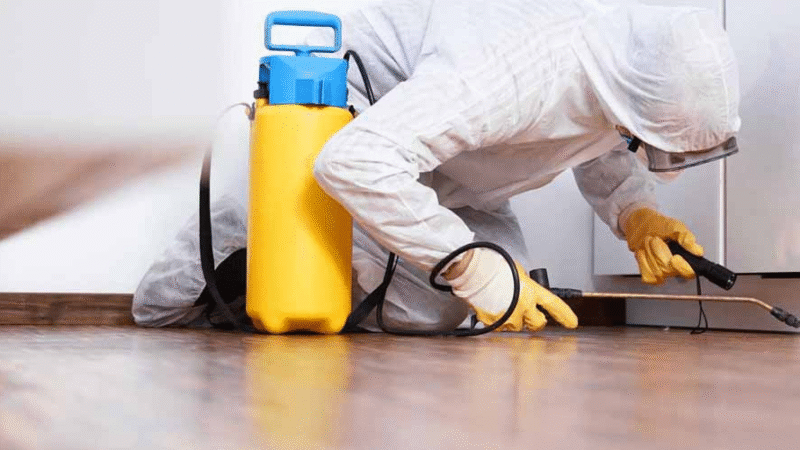How Pest Control Services Protect Your Home from Unwanted Invaders