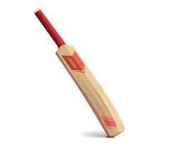 Cricket Bat Brands from Meerut That Are Going Global