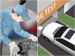 The San Francisco Smog Survival Guide: Professional Tactics for a First-Time Pass